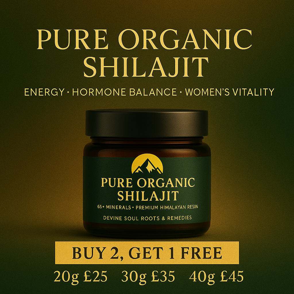 Shilajit resin 40g